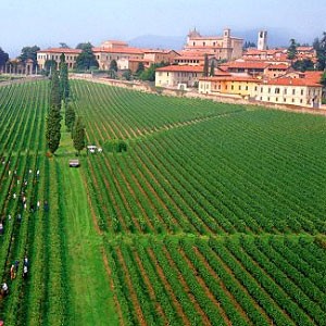 Wijngebied Franciacorta